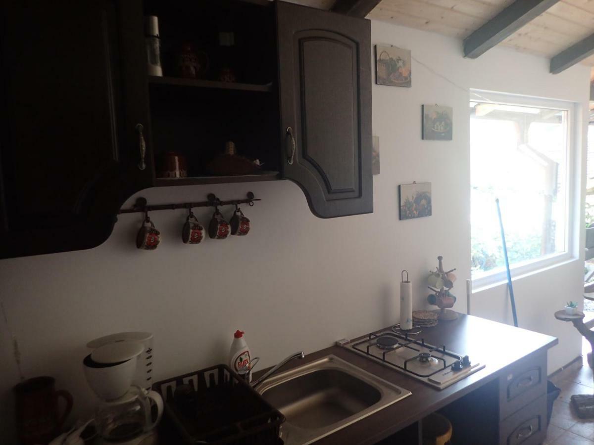 Casa de Oaspeti Dunarea la Cazane Dubova Esterno foto