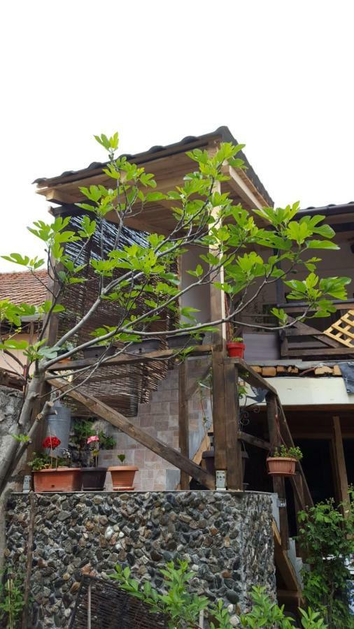 Casa de Oaspeti Dunarea la Cazane Dubova Esterno foto